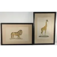 La Roche Laffitte, Lion and Giraffe, Pair of watercolors on silk