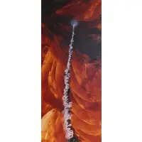 Lia Halloran, Challenger Lift Off Occurring in Orange Sky, 2006, Oil and acrylic on panel