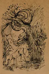 Wilde Tiere by Alfred Kubin, Indian ink pen drawing, sold May 2002