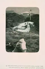 Franz Roh, 2 Bll.: Surrealistischer Schreck-Traum von der Kriegszerstörung der Museen. Aber Hanfstaengl - Elastisch, in ewiger Jugend, schwebt über der Vernichtung, neuen Taten entgegen schreitend, Wood-engraving
