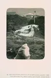 Franz Roh, 2 Bll.: Surrealistischer Schreck-Traum von der Kriegszerstörung der Museen. Aber Hanfstaengl - Elastisch, in ewiger Jugend, schwebt über der Vernichtung, neuen Taten entgegen schreitend, Wood-engraving