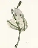 Wilhelm Loth, 2 Bll.: Sitzender Akt. Stehende Figur, 1956, Brush and Indian ink drawing