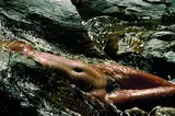 Lucien Clergue, Nu dans l'eau