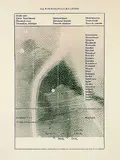 Sigmar Polke, 2 Bll.: Rauwolfiaalkaloide. In der Oper (Entscheidung der Frage, ob Schwämmen Bewußtsein zukommt), Offset lithograph
