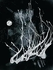 Verknöcherte Lyrik by Heinz Hajek-Halke, Gelatin silver print, sold May 2002