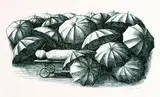 Edgar Ende, 7 Bll.: Figürliche Motive, Lithograph