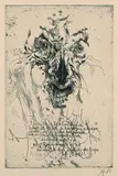 Horst Janssen, Wut gegen Carl Vogel, 1980, Etching