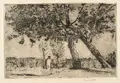 Siegfried Berndt, Unter alten Obstbäumen / Schlesische Landschaft / Angler am See. 1908 / um 1912 / wohl 1910er -1920er Jahre, Radierung / zwei Farbholzschnitte auf Bütten
