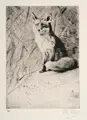 Wilhelm Kuhnert, Fuchs, 1920, Radierung auf hauchdünnem Papier