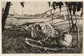 Richard Müller, Skelett im Grase, 1898, Kaltnadelradierung auf Bütten