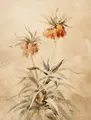 Arno Drescher, Schwertlilie / Kaiserkrone / Sonnenblumen / Stillleben mit Blumentopf. Wohl 1930er Jahre, Aquarelle auf Japan bzw