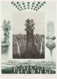 Albín Brunovský, CHVÁLA ZAMOTANÝCH SNOV III, 1984 – 1985, Lept na papieri, E.A. XXI/XXV