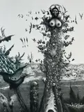 Albín Brunovský, Labyrint sveta a raj srdca II. (Fortunin hrad), 1989, Lept na papieri