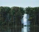 Tomás Sánchez, Meditador, 1995, acrylic on canvas