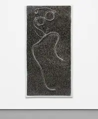 Seth Price, Sexy Dancer, 2009, car enamel and UV-cured inkjet on high-impact polystyrene vacuum-formed over rope