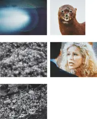 Piece (2) by Roni Horn, 1997-1998, Iris printed photograph on Somerset paper, in 5 parts, sold Jul 2020