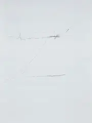 Anne Imhof, Untitled, 2017, Dibond-mounted etched aluminum