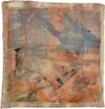 Vivian Suter, Untitled, pigment and glue on unstretched canvas