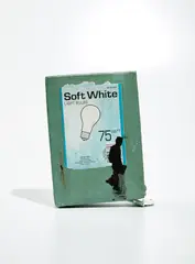 Untitled by Henry Taylor, acrylic, marker and collage on cardboard box, sold Sep 2020