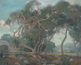 Orrin A. White, Through the Trees and Across the Valley