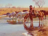 Jim Norton, Quiet Reflections