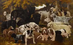 B. Fee, Best in show, oil on canvas