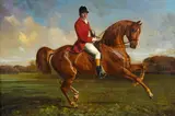 Pierre Franc-Lamy, A chestnut hunter, oil on canvas