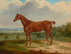 William Webb, A chestnut hunter in an extensive landscape, oil on canvas