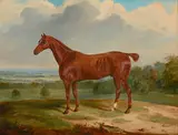 William Webb, A chestnut hunter in an extensive landscape, oil on canvas
