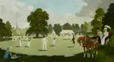 Doris Zinkeisen, A cricket match