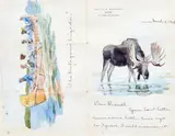 Letter to Charles Marion Russell: A Pair of Double Sided Works by Philip Russell Goodwin, depicting four vignettes, including illustrations of a moose, a stag, the 'Matagni Brigade' and 'Makin' Camp', sold Feb 2019