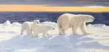 Ken Carlson, Hudson Bay Winter, oil on Masonite