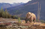 Ken Carlson, Mountain Clearing (Bear in a Landscape), oil on Masonite