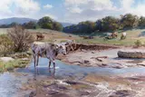 Brian Grimm, Low Water Crossing, oil on Masonite