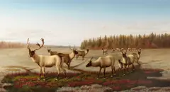 William Jacob Hays, Caribou, 1871, oil on canvas