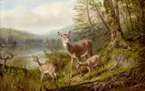Arthur Fitzwilliam Tait, Doe and Fawns