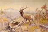 Olaf Carl Seltzer, Montana Elk and Landscape