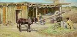Robert Lougheed, The Making of Sugar
