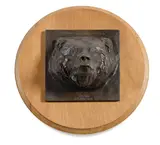 Alexander Phimister Proctor, Boone and Crockett Plaque, 1973, bronze with dark brown patina