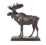 Alexander Phimister Proctor, Moose, 1907, bronze with brown patina