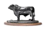 Tom Tischler, Brangus Bull, 1980, bronze with dark brown patina