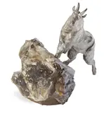 Douglas Van Howd, Rocky Mountain Goat