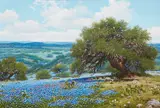 William A. Slaughter, Bluebonnets in the Texas Hill Country, oil on canvas