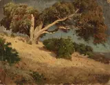 William Keith, Madrone + Live Oak, San Rafael, 1872, oil on canvas laid down to board