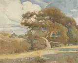 Percy Gray, Oak tree and distant hills