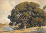 Oak Tree by a Lake by Percy Gray, watercolor and graphite on paperboard, sold Aug 2019