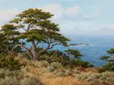 David Chapple, Monterey Cypress, oil on canvas affixed to board