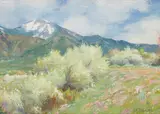 Joseph Henry Sharp, Wild Plum Blossoms, Taos Mountains, New Mexico, oil on canvasboard