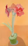 Sally Michel Avery, Rosy Amaryllis