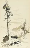 California Landscape by Thomas Hart Benton, 1947, ink, wash and pencil on paper, sold Nov 2018